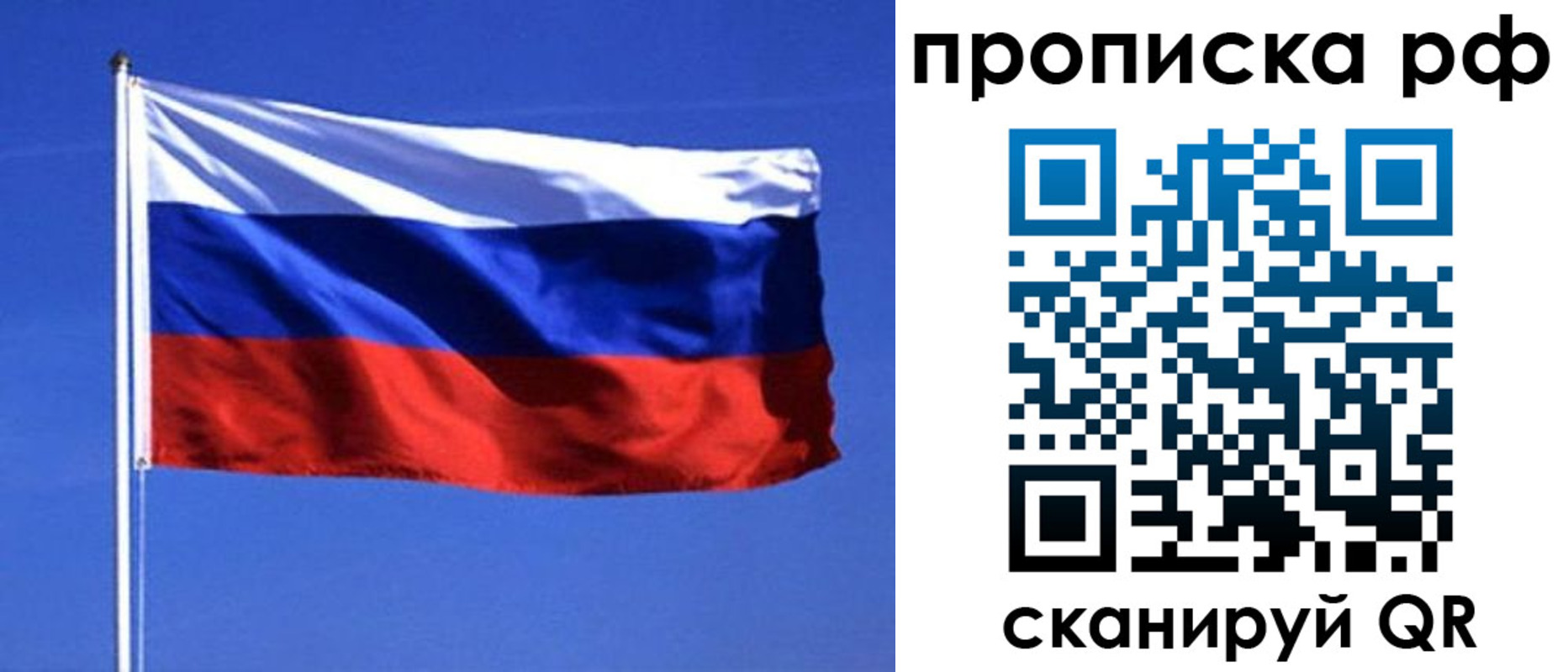 прописка иностранных граждан в Мурманской области
